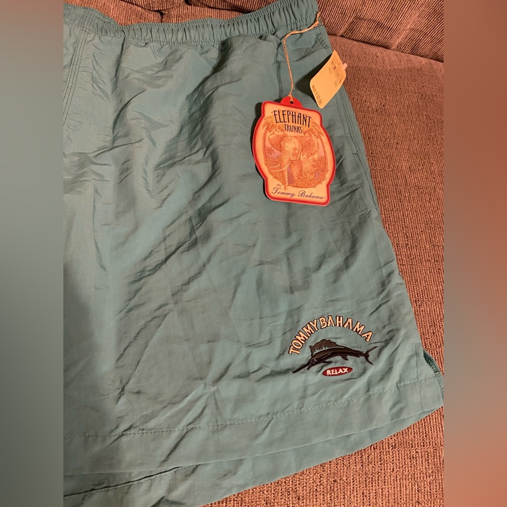 Teal swim trunks shorts